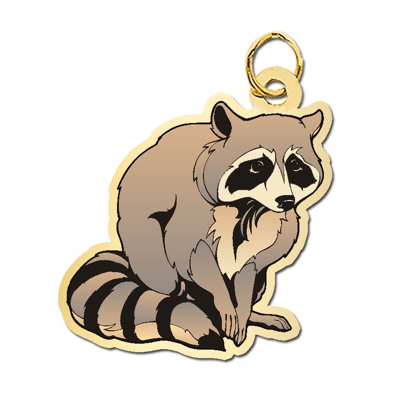 Raccoon Charm