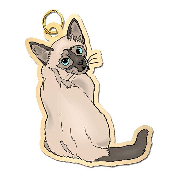 Cat - Siamese Charm