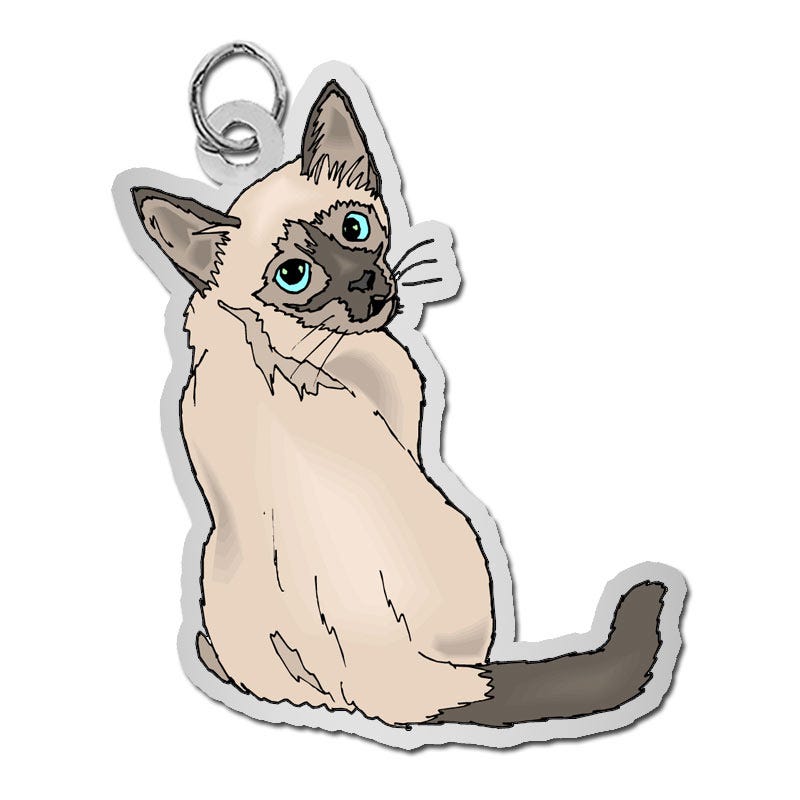Cat - Siamese Charm