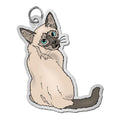Cat - Siamese Charm