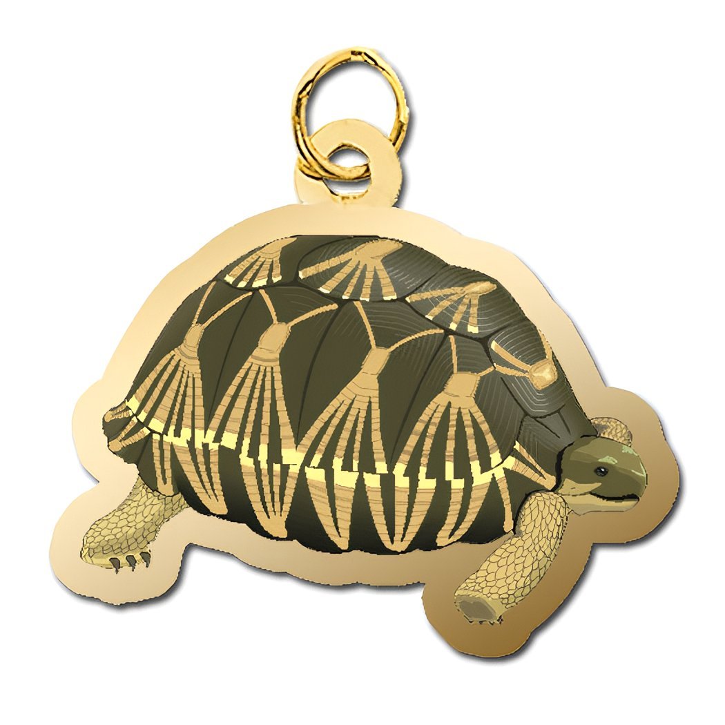Tortoise Charm