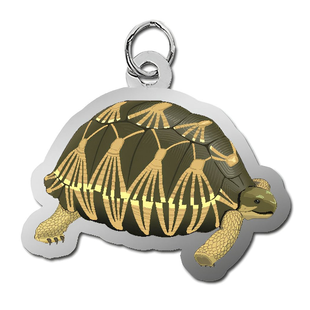 Tortoise Charm